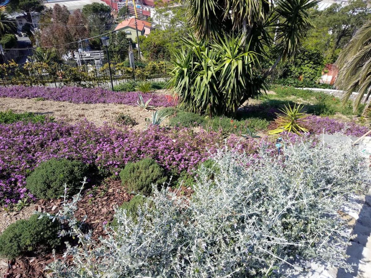 ססטרי לבאנטה Appartamento Taggiasca A Riva Trigoso מראה חיצוני תמונה